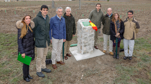 bosques-defensa-iberdrola-reforestacion-fundacion-iberdrola-espana-2