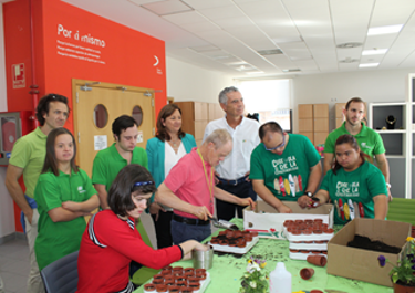 programa-social-fundacion-down-madrid-beneficia-300-personas-discapacidad-2014-fundacion-iberdrola-espana-09102018